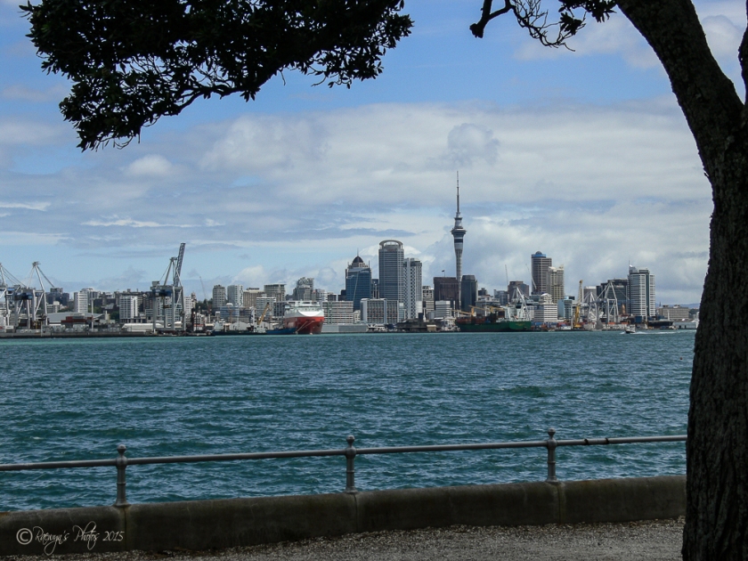 A Humid Auckland-062