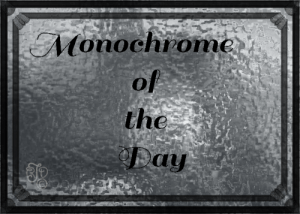 Monochrome of the Day