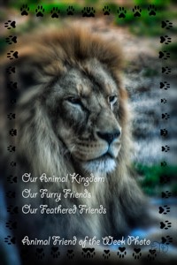 Animal Friend of the Week Challenge Logo-