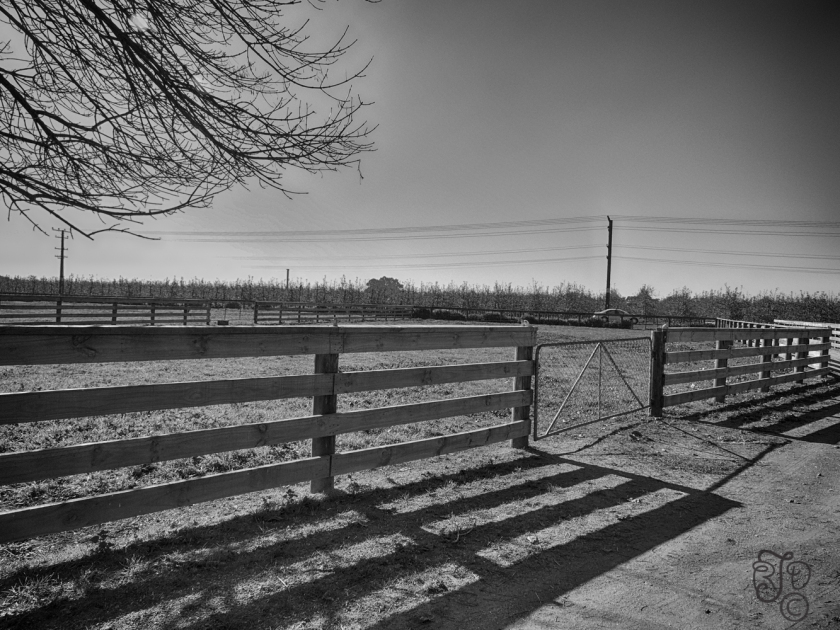 Fences-
