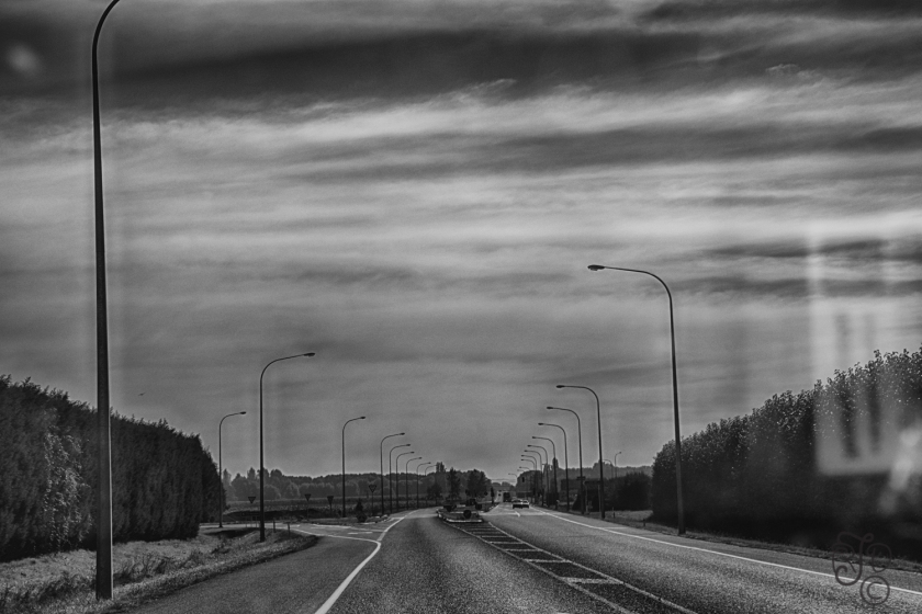The Road to Napier-
